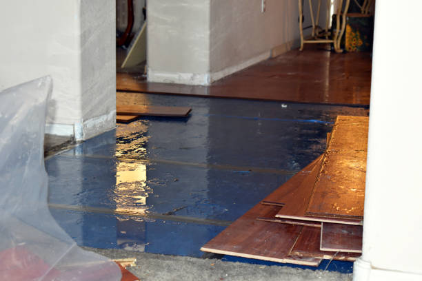 Professional Water Damage Restoration technician working in Irene, SD